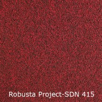 Robusta Project-SDN 415